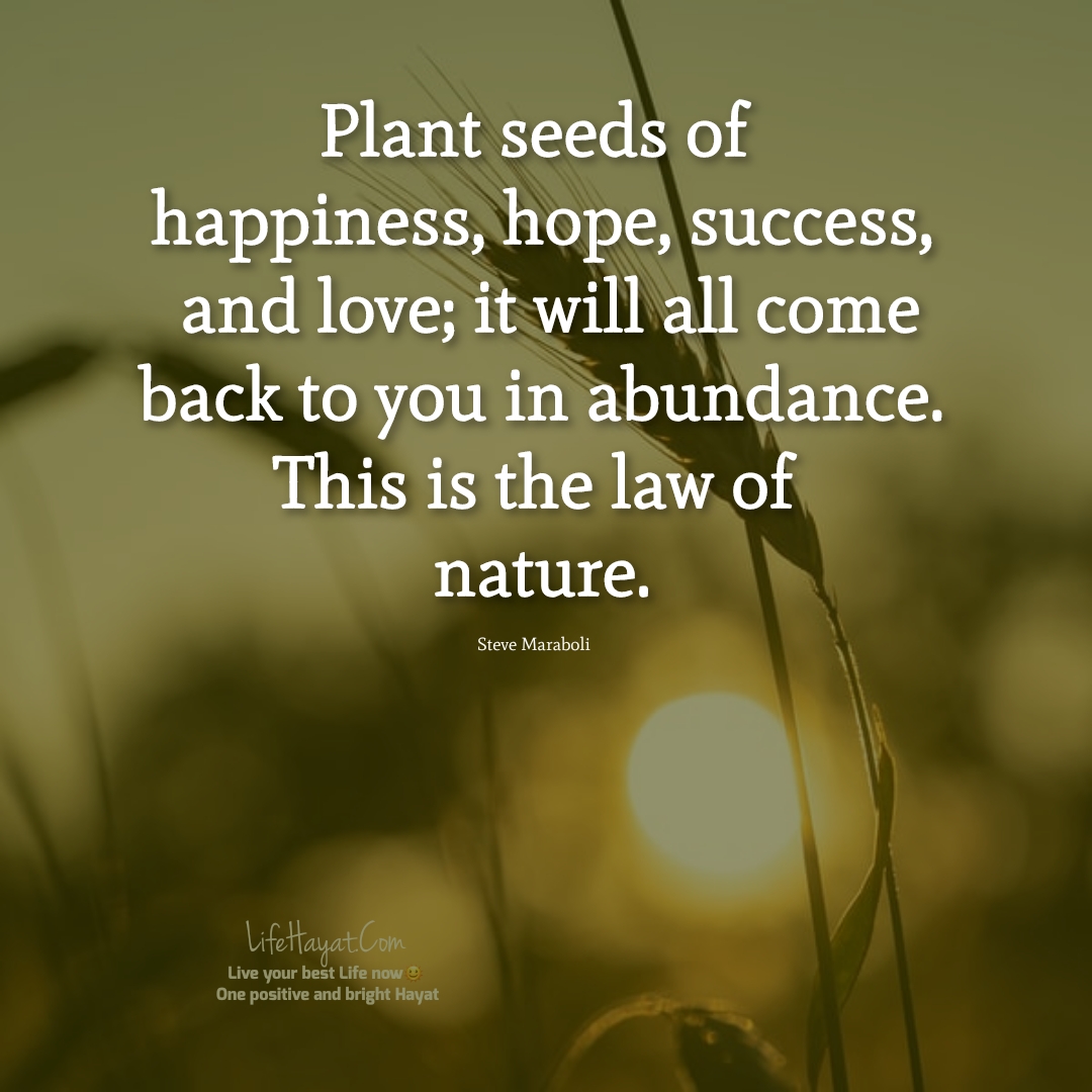 20 Planting Seeds Quotes For A Better Life Best Life Hayat 8863