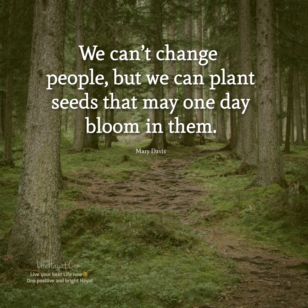 20 Planting Seeds Quotes For A Better Life - Best Life Hayat