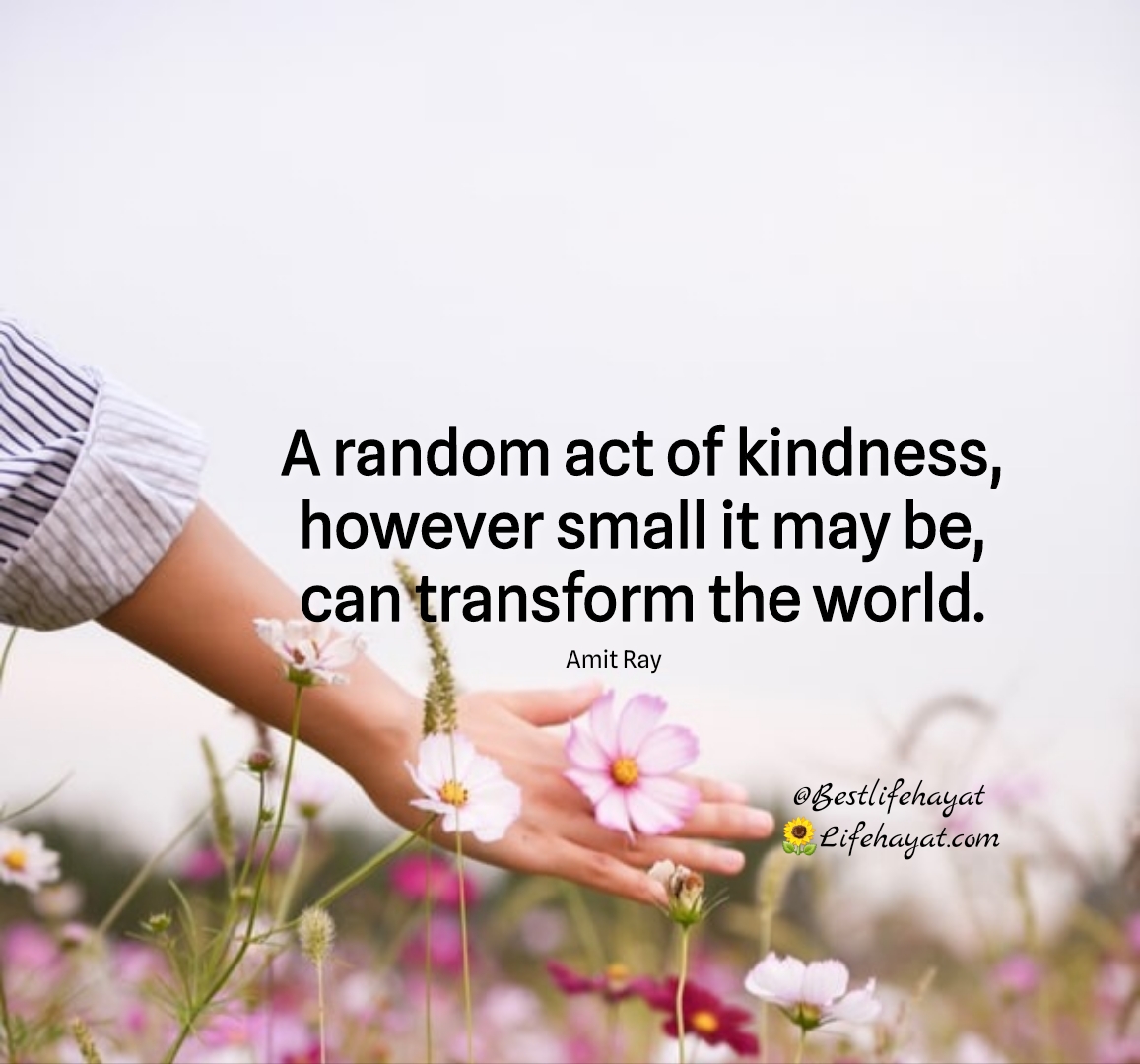 A Random Act Of Kindness - 30 Inspiring Quotes - Life Hayat