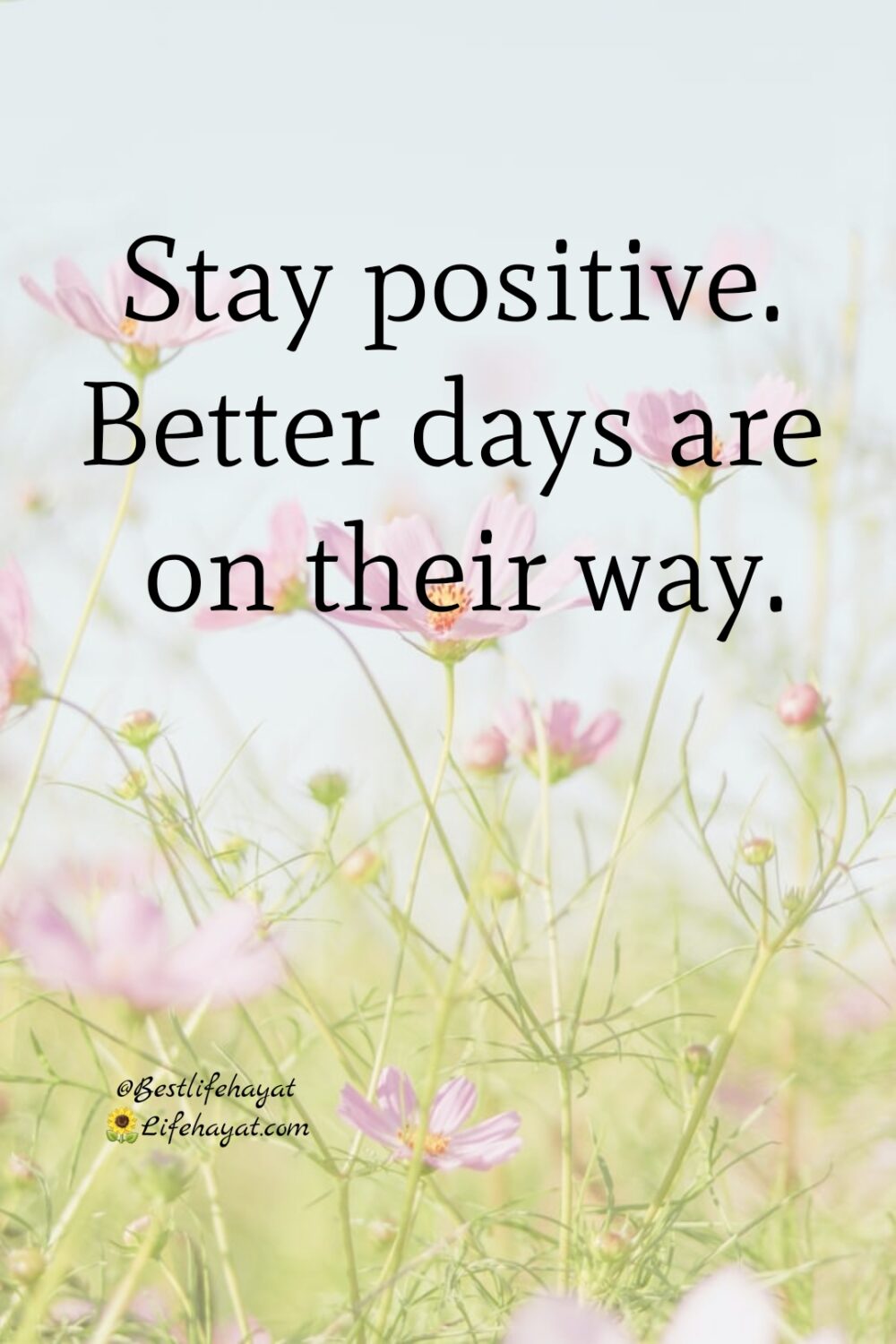 Say Something Positive - 5 Quotes Of The Day - Best Life Hayat