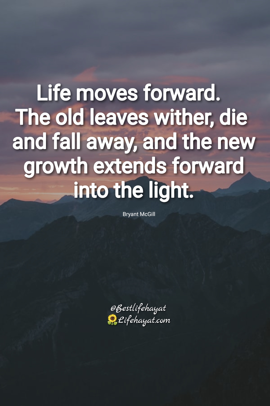 35 Quotes On How To Let Go Of The Past And Move Forward - Best Life Hayat