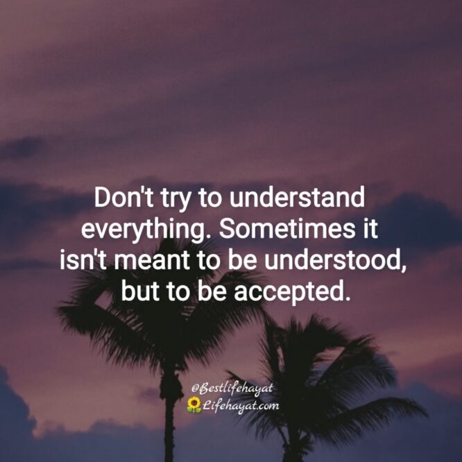 Don’t try to understand everything