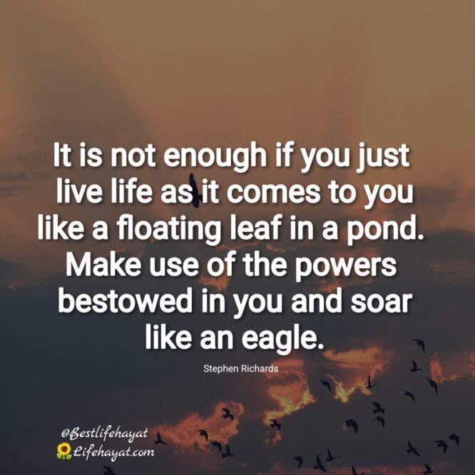 Soar like an eagle