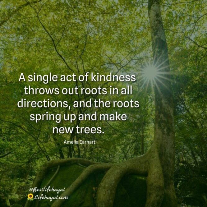 A single act of kindness quote