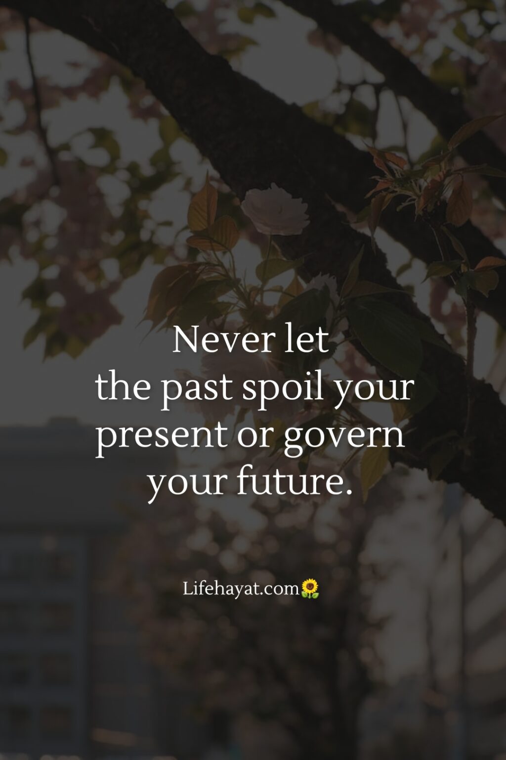 Letting Go Of The Past - 30 Inspirational Quotes - Best Life Hayat