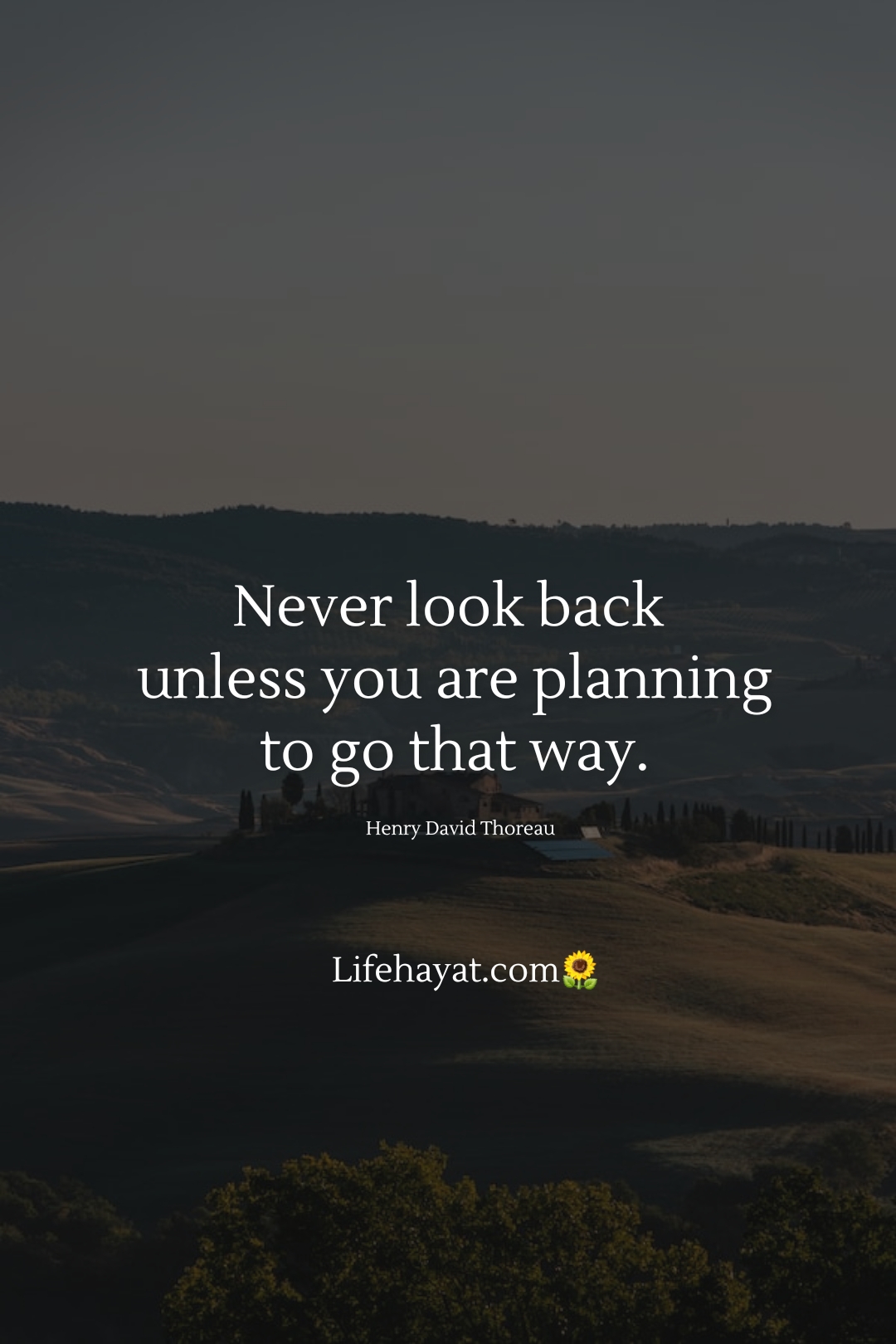 Letting Go Of The Past - 30 Inspirational Quotes - Best Life Hayat