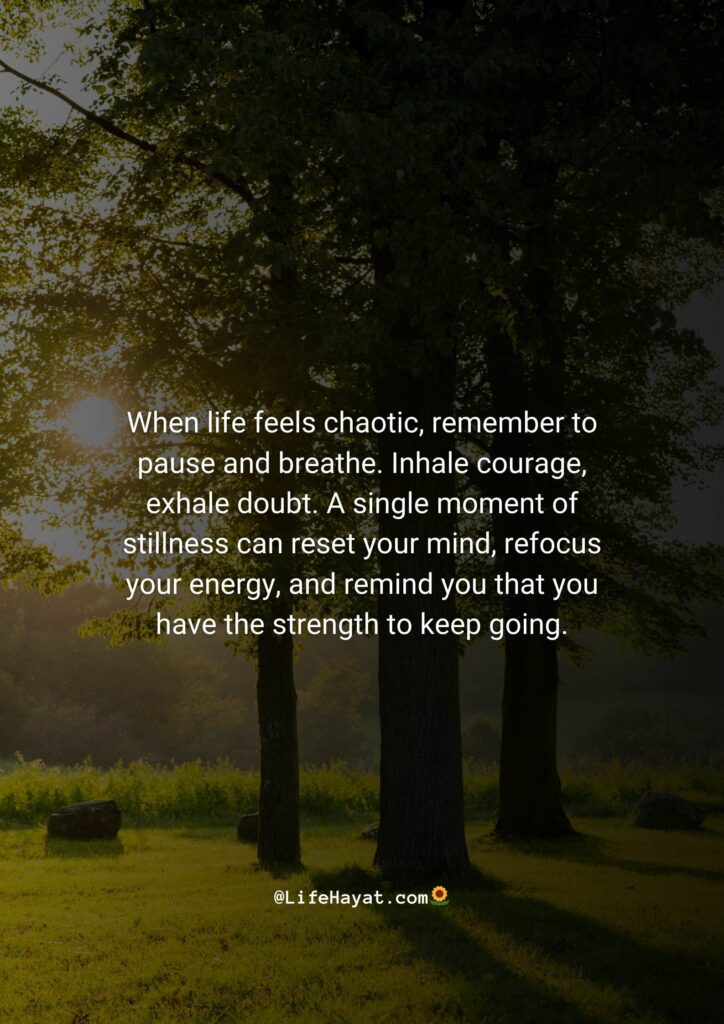 When life seems chaotic, remember to pause