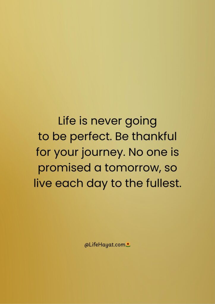 Be thankful for your journey