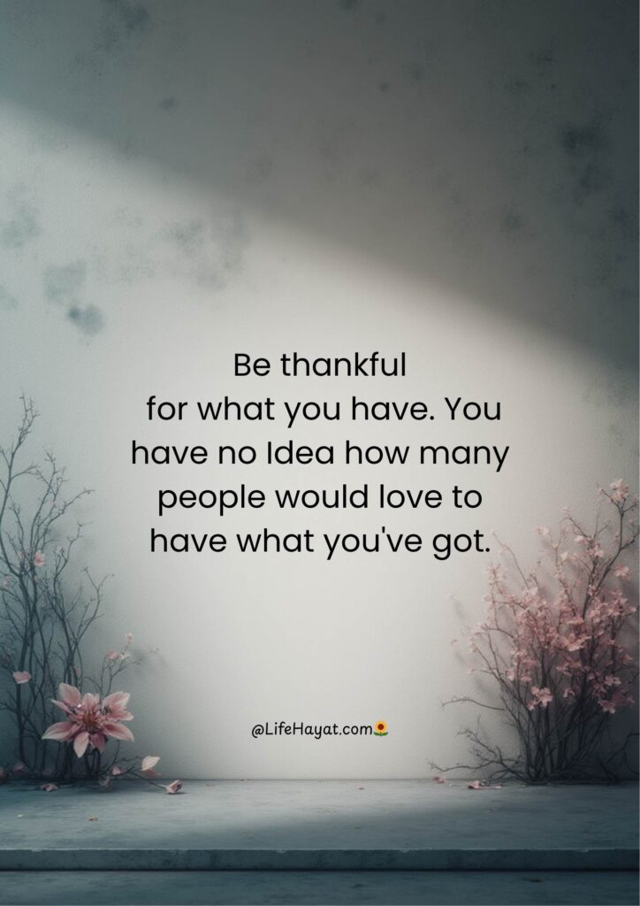 Be thankful for what you have quote